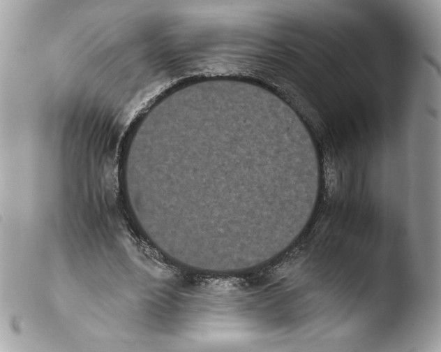 X0000103940488200810171818