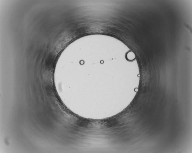 X0000103940489200810171818