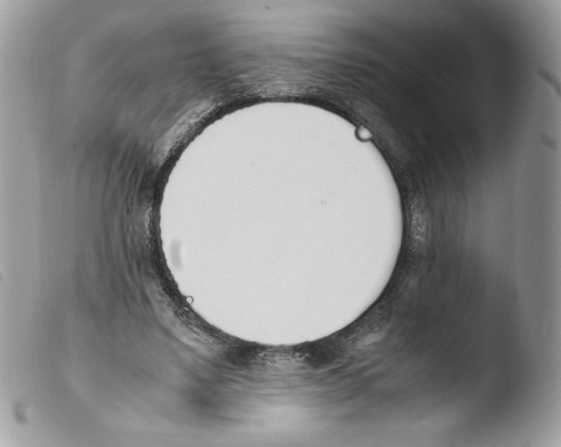 X0000103940491200810171818