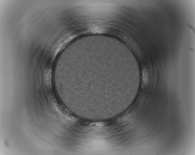 X0000103940492200810171818