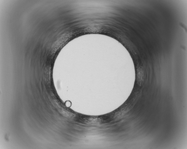 X0000103940493200810171818