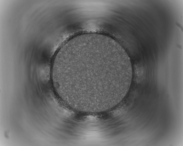 X0000103940496200810171818