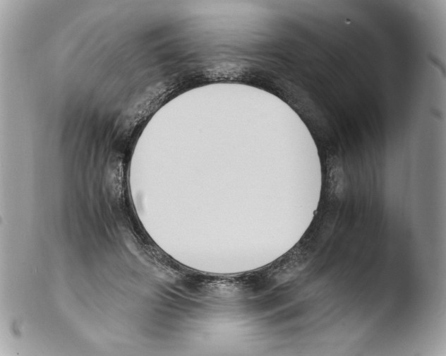 X0000103940498200810171818