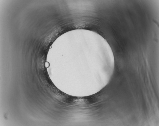 X0000103940499200810171818