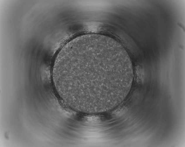 X0000103940500200810171818