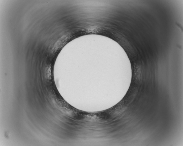 X0000103940502200810171818