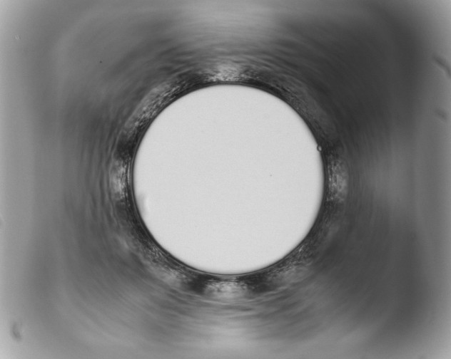 X0000103940503200810171818