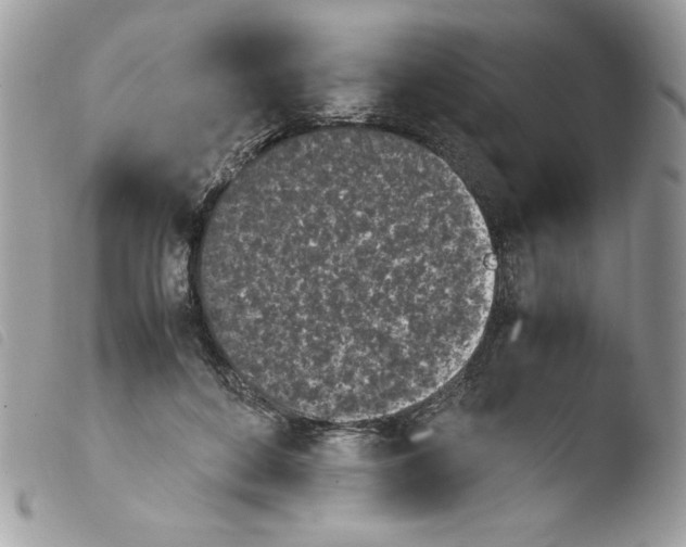 X0000103940504200810171818