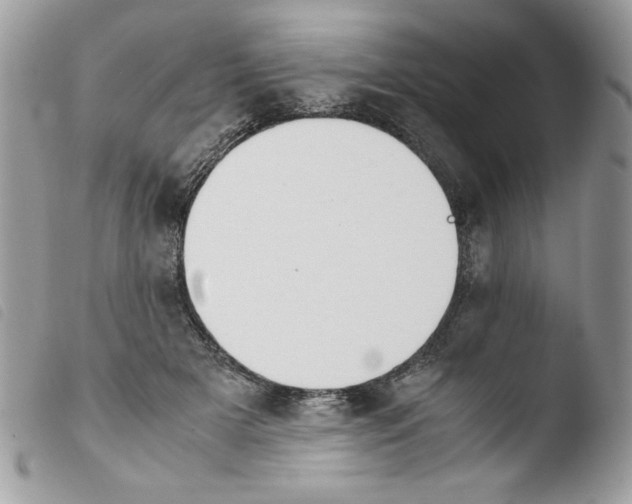 X0000103940505200810171818