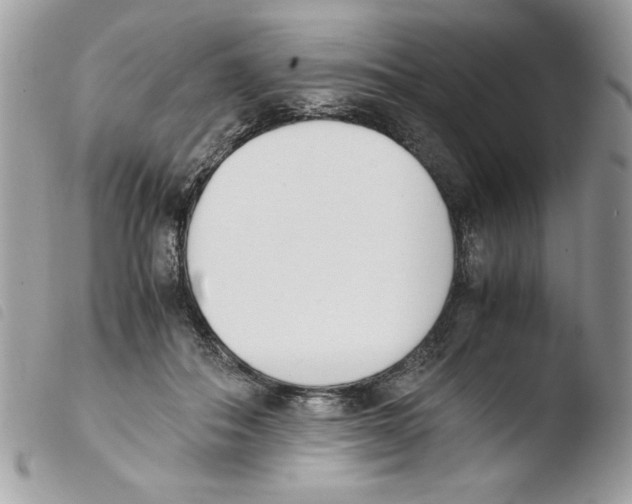 X0000103940506200810171818