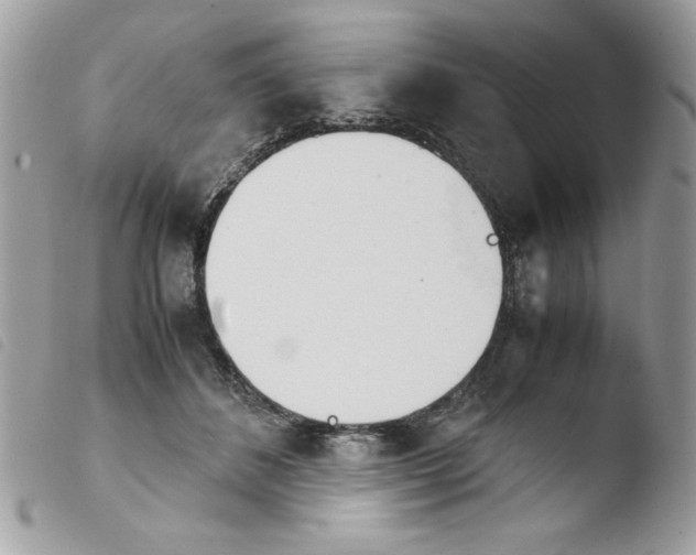 X0000103940508200810171818