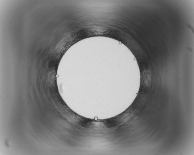 X0000103940509200810171818