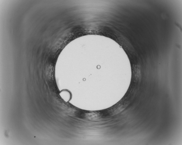 X0000103940511200810171818