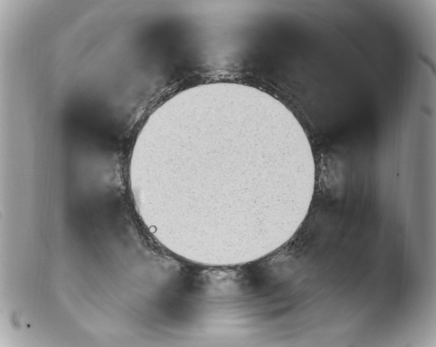 X0000103940512200810171818