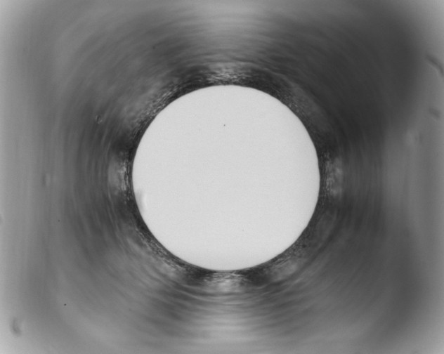 X0000103940514200810171818