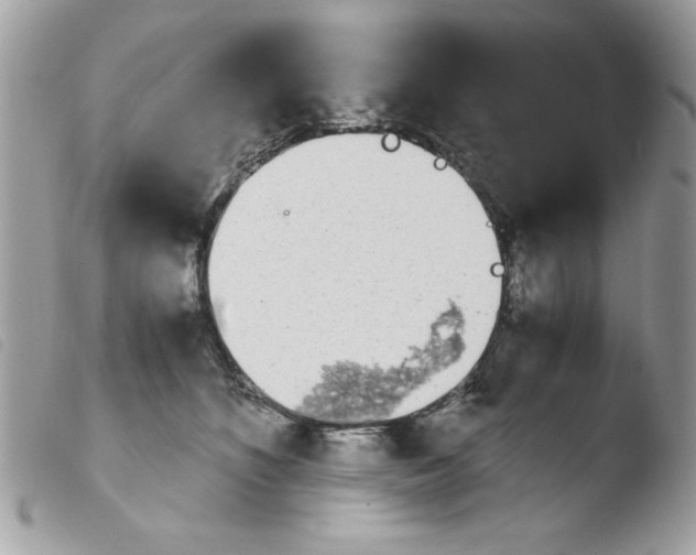 X0000103940516200810171818