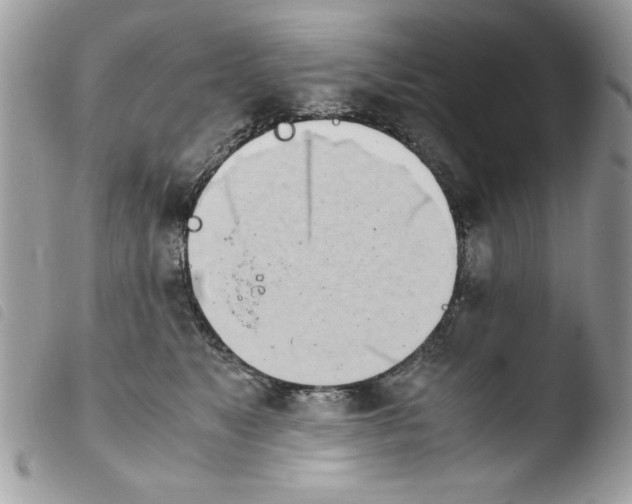 X0000103940517200810171818