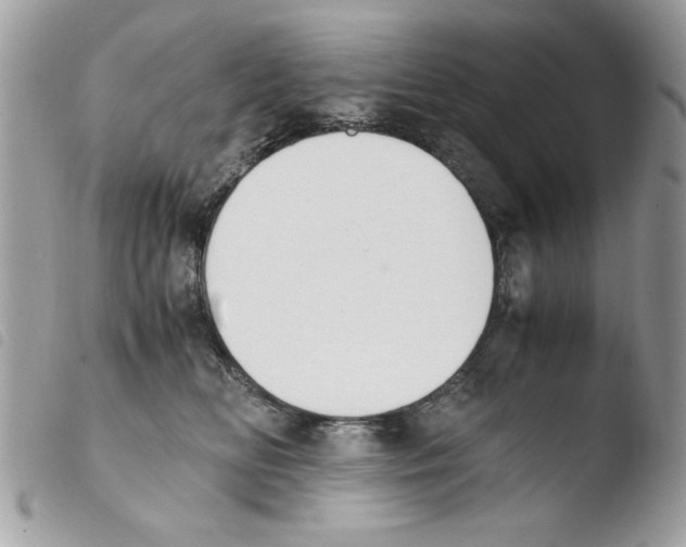 X0000103940518200810171818