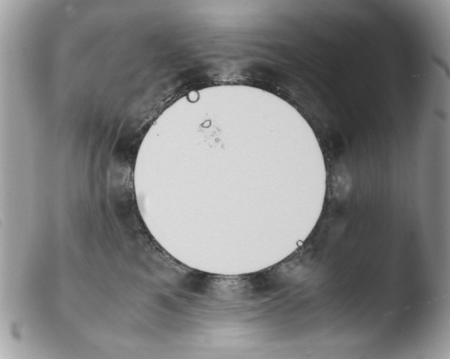 X0000103940521200810171818