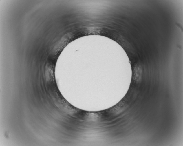 X0000103940522200810171818