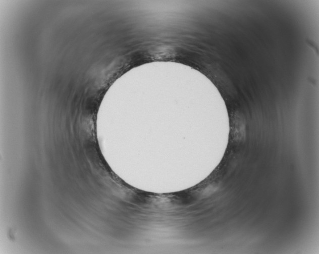 X0000103940523200810171818