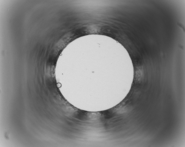 X0000103940525200810171818