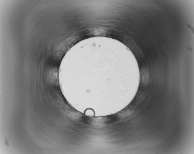 X0000103940527200810171818