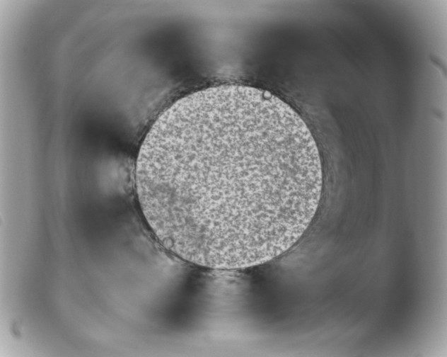 X0000103940528200810171818