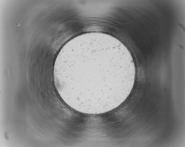 X0000103940529200810171817