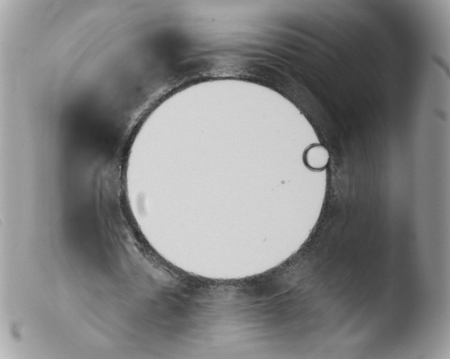 X0000103940530200810171817