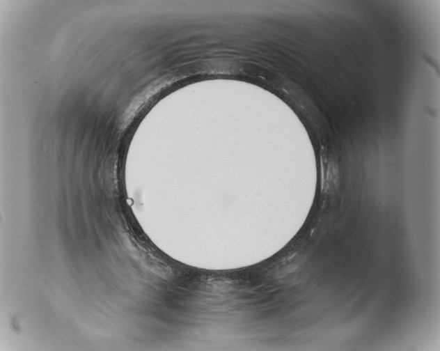 X0000103940531200810171817