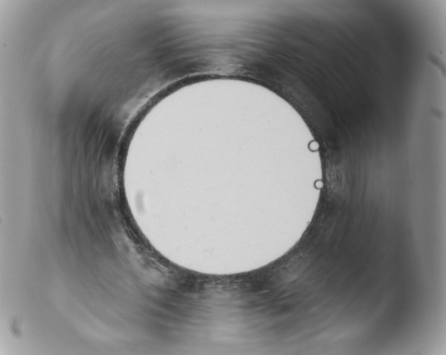 X0000103940532200810171817