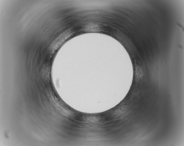 X0000103940533200810171817