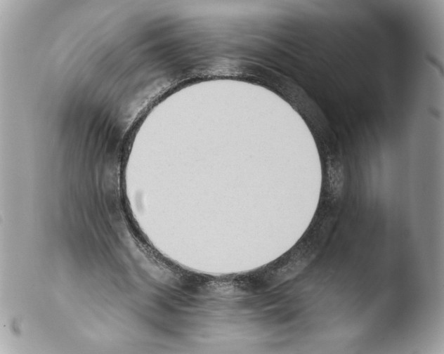 X0000103940534200810171817