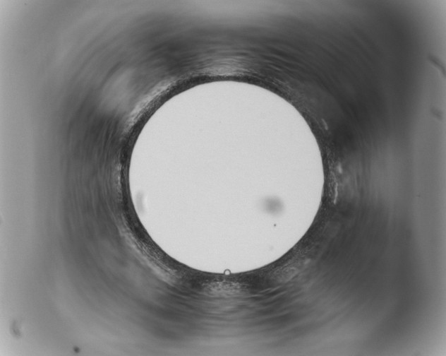 X0000103940535200810171817