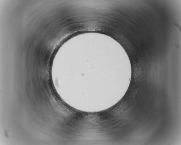 X0000103940536200810171817