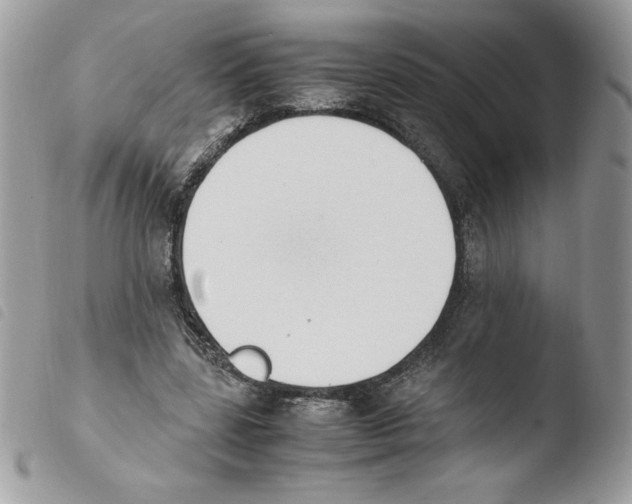 X0000103940539200810171817