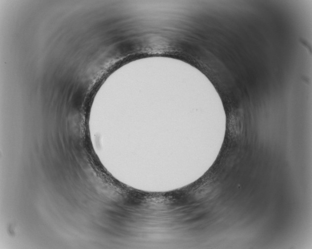 X0000103940540200810171817