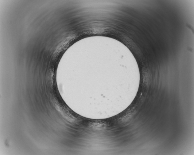 X0000103940542200810171817