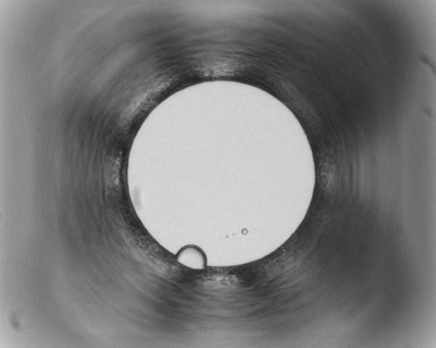 X0000103940543200810171817