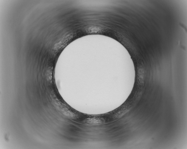 X0000103940545200810171817