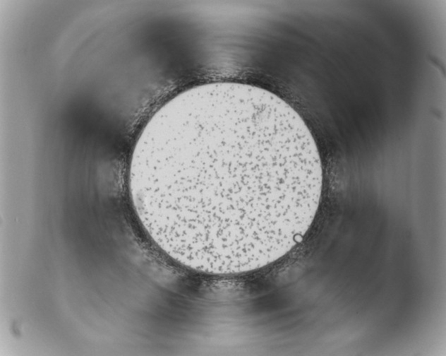 X0000103940546200810171817