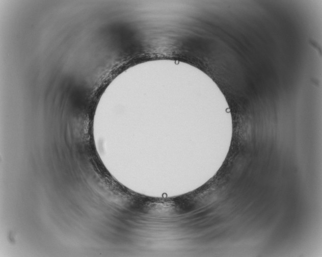 X0000103940548200810171817