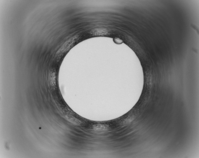 X0000103940549200810171817