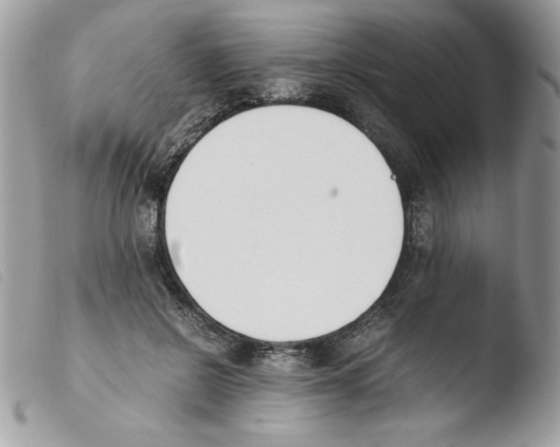 X0000103940550200810171817