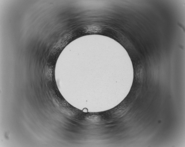 X0000103940551200810171817