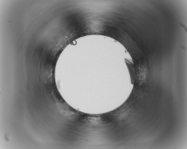 X0000103940552200810171817