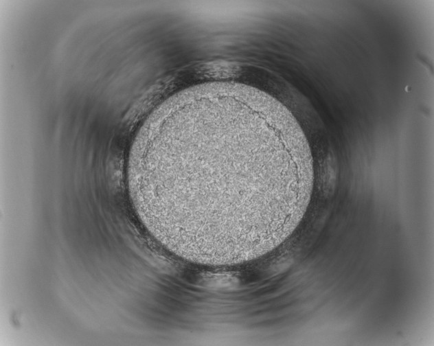 X0000103940553200810171817