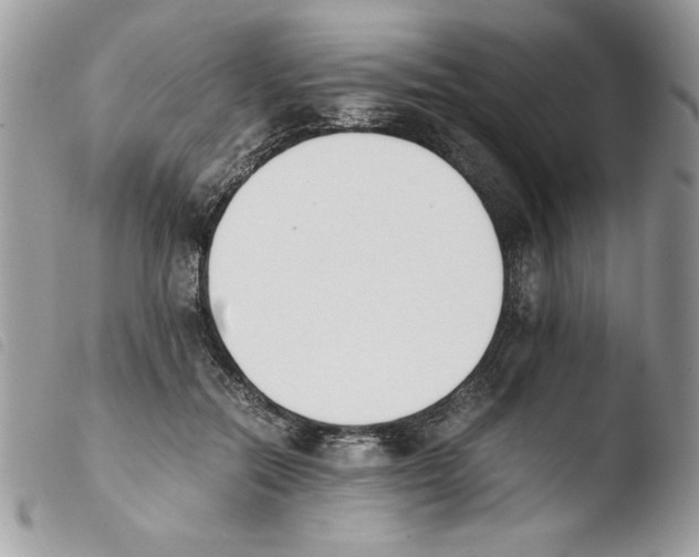 X0000103940554200810171817