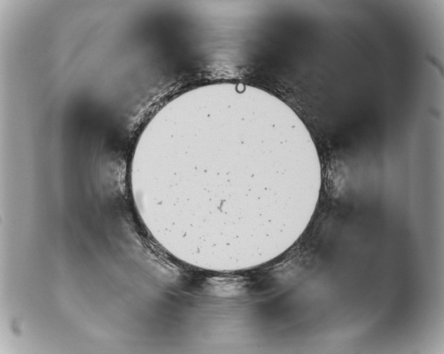 X0000103940556200810171817